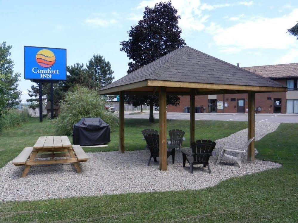 Comfort Inn Huntsville Exteriör bild